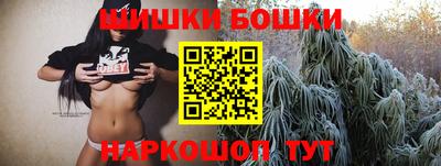 сатива Новозыбков