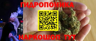 дживик Новодвинск