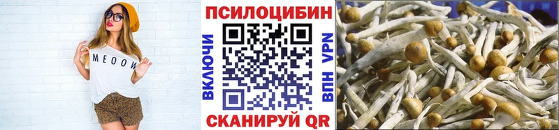 как найти наркотики  Шебекино  Псилоцибиновые грибы MAGIC MUSHROOMS 