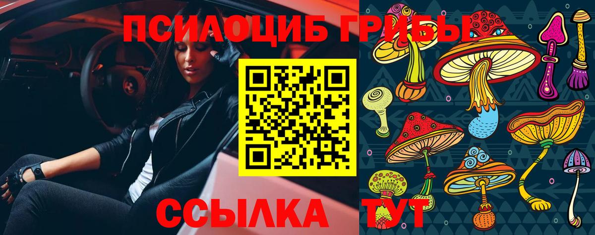 Псилоцибиновые грибы Psilocybine cubensis  закладки  Шебекино  Вход с VPN 
